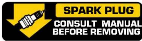 SPARK PLUG CONSULT MANUAL BEFORE REMOVING