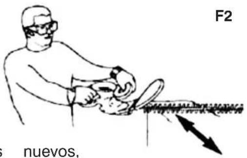 F2 nuevos,