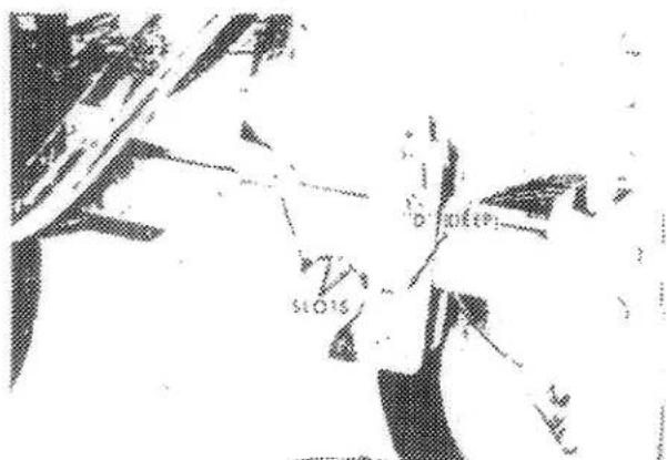 Scanned text fragment with partial characters and symbols, possibly from a document or form