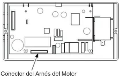 Conector del Arnés del Motor
