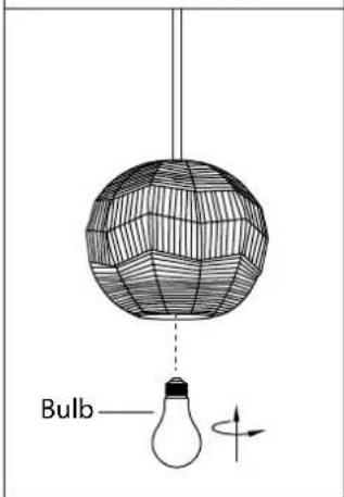 Bulb