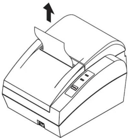 Line drawing of a printer with paper roll and paper clamped, showing no text or symbols