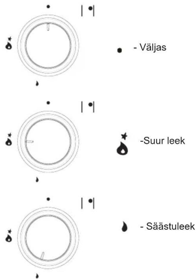 - Väljas -Suur leek - Säästuleek