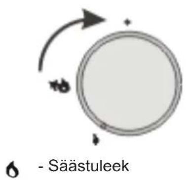 6 - Säästuleek