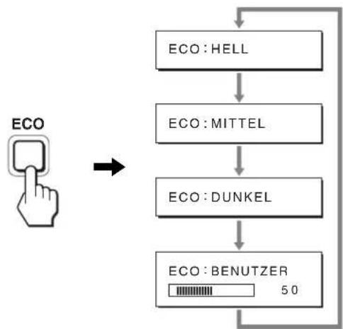 graph TD A["ECO"] --> B["ECO: HELL"] B --> C["ECO: MITTEL"] C --> D["ECO: DUNKEL"] D --> E["ECO: BENUTZER 50"]