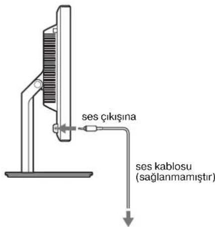 Ses çıkışına, ses kablosu (sağlanmamıştır)