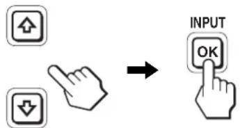 INPUT OK