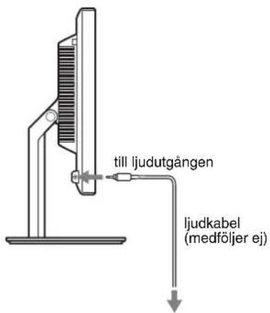 till ljudutgången ljudkabel (medföljer ej)