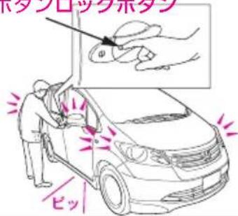 ホタブロッサホタブ ピッ