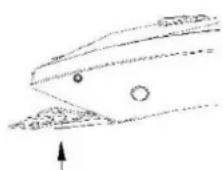 Scarlett SC-HC63C52 - ОШТРИЦА - 2