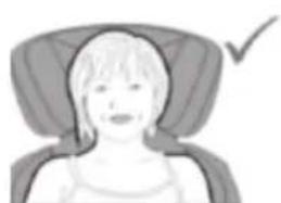 Illustration of a person wearing a car seat with a checkmark (no text or symbols).