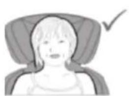 Illustration of a person wearing a seatbelt with a checkmark (no text or symbols).