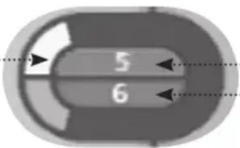 5 6