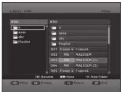 HBox a aaa abc Playlist HBox a aaa abc Playlist D01 France & France4 D02 M6 MALEOLM D03 M6 MALEOLM (1) D04 M6 MALEOLM (2) D05 France & France4 Returns Move New Folder Home OK Preview Return Exit