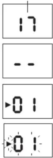 17 -- 01 01