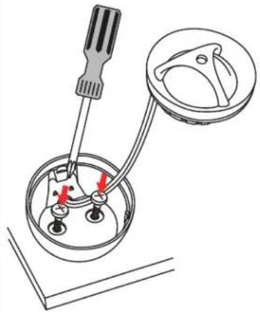 Morel Maximo Ultra 502 - Surface mounting option 2 - 2