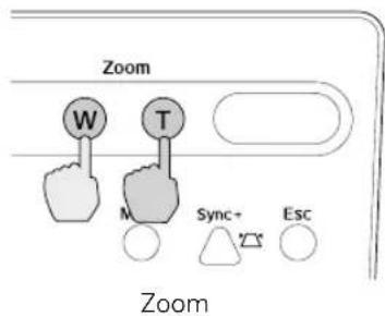 Zoom W T M Sync+ Esc Zoom