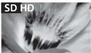 SONY Bravia KDL-32R303B - Pildikvaliteet - 1