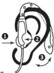 Diagram of a ear with labeled parts and directional arrows indicating motion or positioning