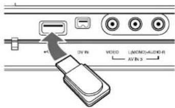 DV IN VIDEO (1/MON)AUDIO-R AV IN 3