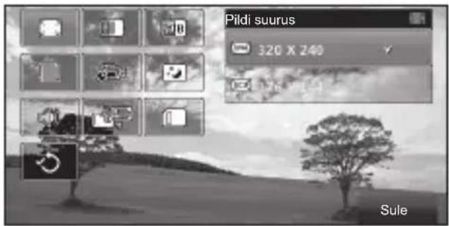 Pildi suurus 320 X 240 Sule