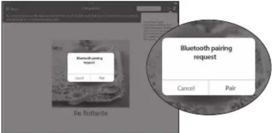 Bluetooth pairing request! Cancel Pair Bluetooth pairing request Cancel Pair Lie flottante