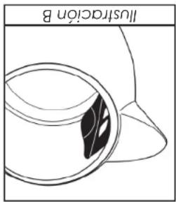 Illustration B