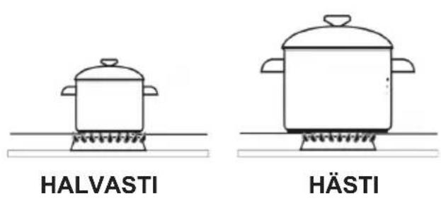 Hansa BHGS630502 - Nõude valik - 1