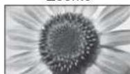 PANASONIC TX-L19D28EP - Kuvasuhte muutmine (pildi suurus) - 12