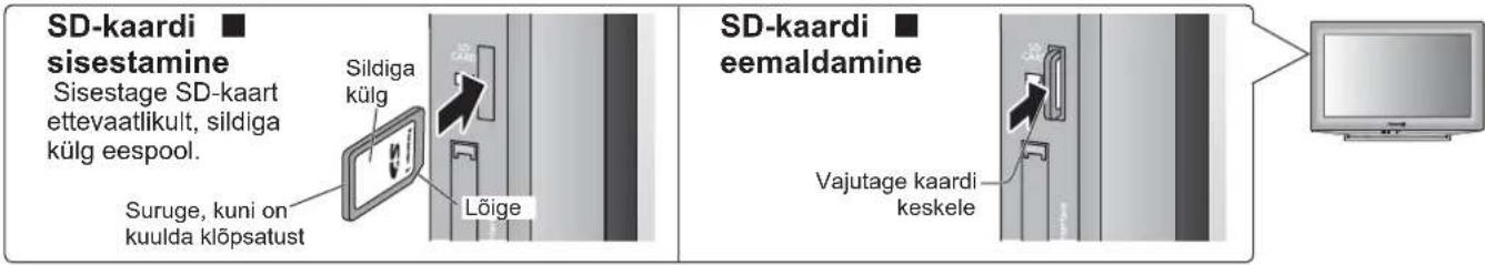 PANASONIC TX-L19D28EP - Vaatamine SD-kaardilt (VIERA pildivaatur) - 1