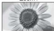 PANASONIC TX-L19D28EP - Kuvasuhte muutmine (pildi suurus) - 8