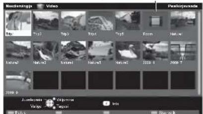 PANASONIC TX-L19D28EP - Valige „Video“ - 2