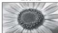 PANASONIC TX-L19D28EP - Kuvasuhte muutmine (pildi suurus) - 10