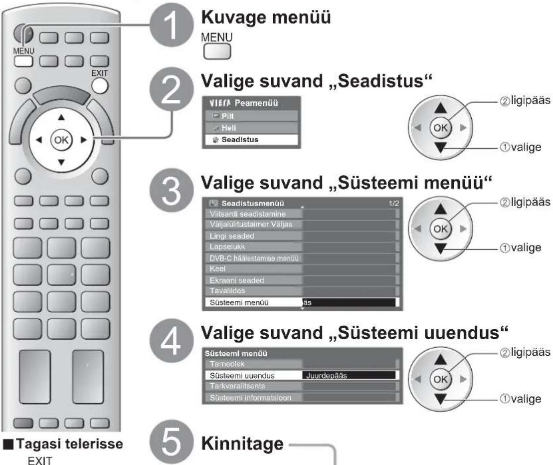 PANASONIC TX-L19D28EP - Teleri tarkvara uuendamine - 2