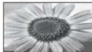 PANASONIC TX-L19D28EP - Kuvasuhte muutmine (pildi suurus) - 6