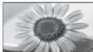PANASONIC TX-L19D28EP - Kuvasuhte muutmine (pildi suurus) - 5