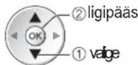 PANASONIC TX-L19D28EP - Kausta, salvestamise päeva või kuu järgi sortimiseks - 3
