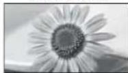 PANASONIC TX-L19D28EP - Kuvasuhte muutmine (pildi suurus) - 4