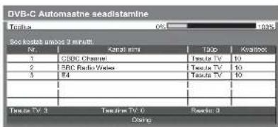 PANASONIC TX-L19D28EP - Automaatne seadistus teleri küljel asuvate nuppudega (lk 9) - 20