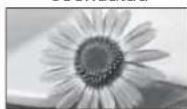 PANASONIC TX-L19D28EP - Kuvasuhte muutmine (pildi suurus) - 9