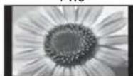 PANASONIC TX-L19D28EP - Kuvasuhte muutmine (pildi suurus) - 7