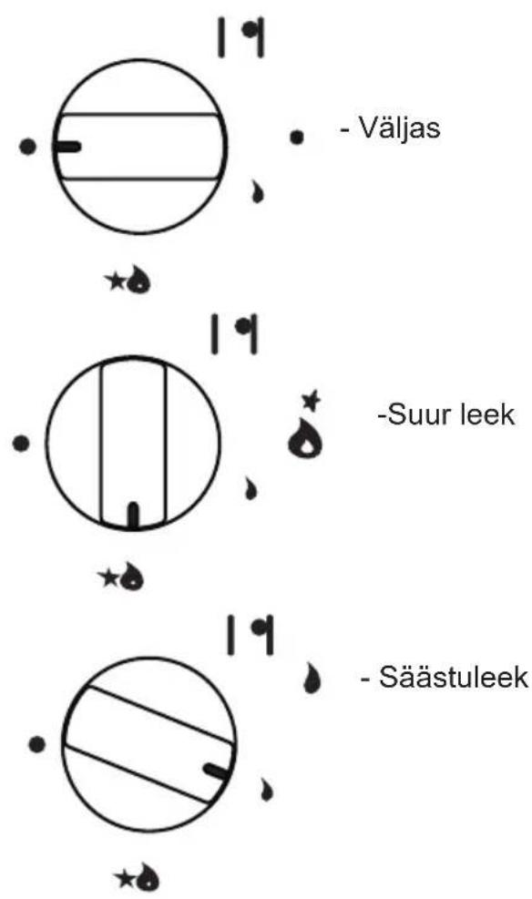 - Väljas - Suur leek - Säästuleek