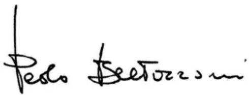 Testo Sectorzoni