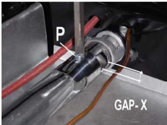 P GAP-X