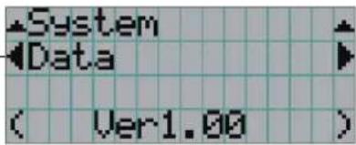 System Data ( Ver1.00 )