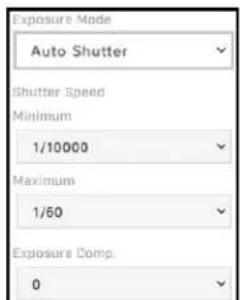 Exposure Mode Auto Shutter Shutter Speed Minimum 1/10000 Maximum 1/60 Exposure Comp. 0