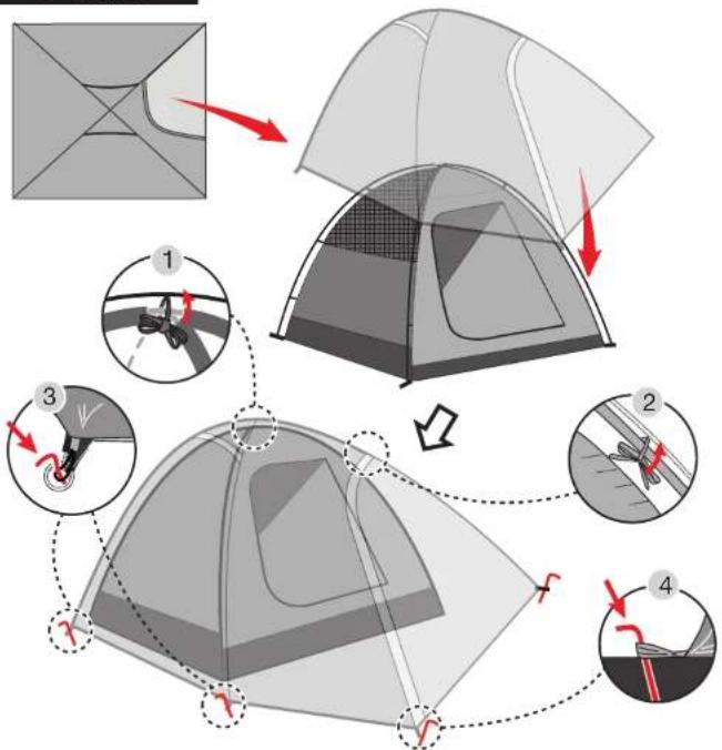 COLEMAN Darwin 2 - 7