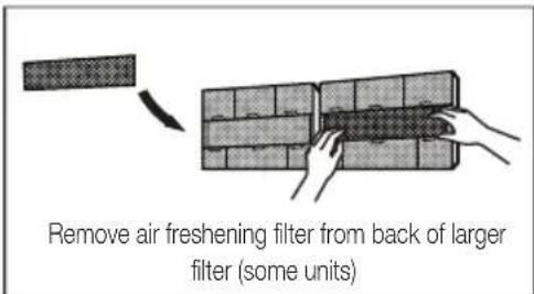 Remove air freshening filter from back of larger filter (some units)