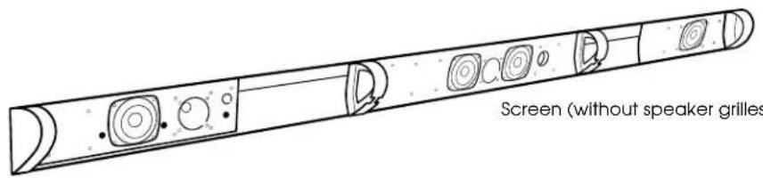 Screen (without speaker grilles)