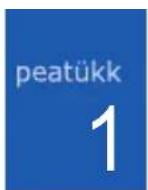 SAMSUNG SGH-I450B - Spetsiifilise neeldumismäära (SAR) sertimisteave - 1
